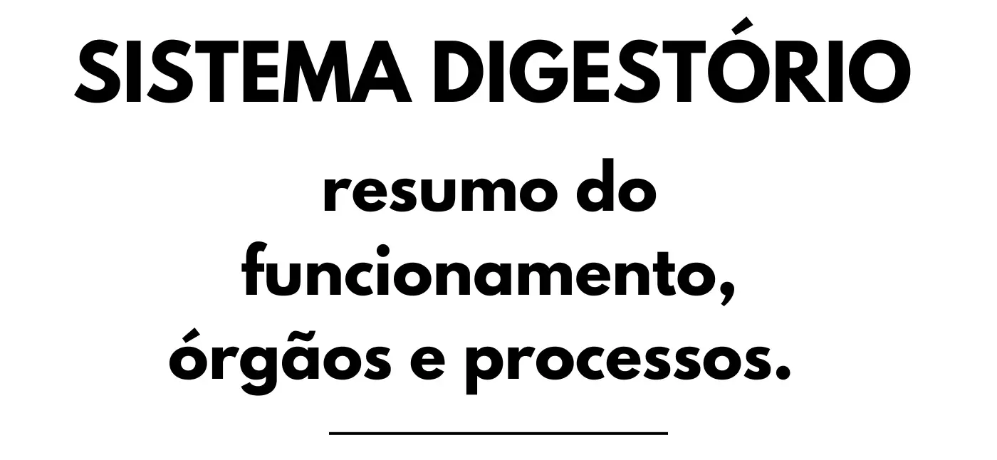 Descubra como funciona o sistema digestório, seus órgãos e processos essenciais para a absorção de nutrientes.