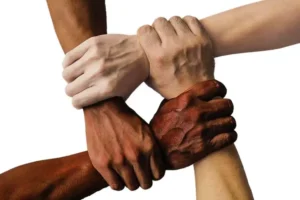 O foco da Sociologia é estudar a sociedade em todos os seus campos. 