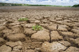 O solo seco é típico da Caatinga, bioma brasileiro localizado predominantemente no Nordeste. 
