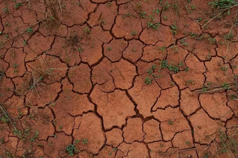 Imagem mostra solo argiloso.