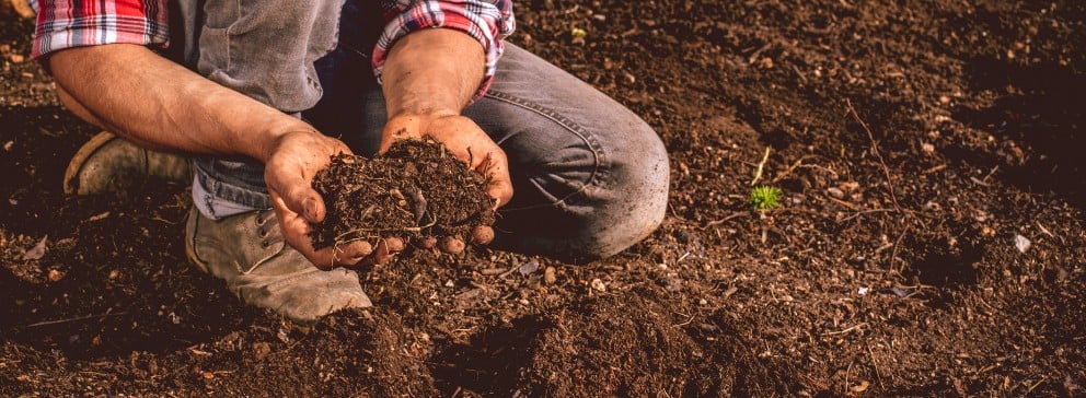 O solo humífero é ideal para cultivo de plantas.