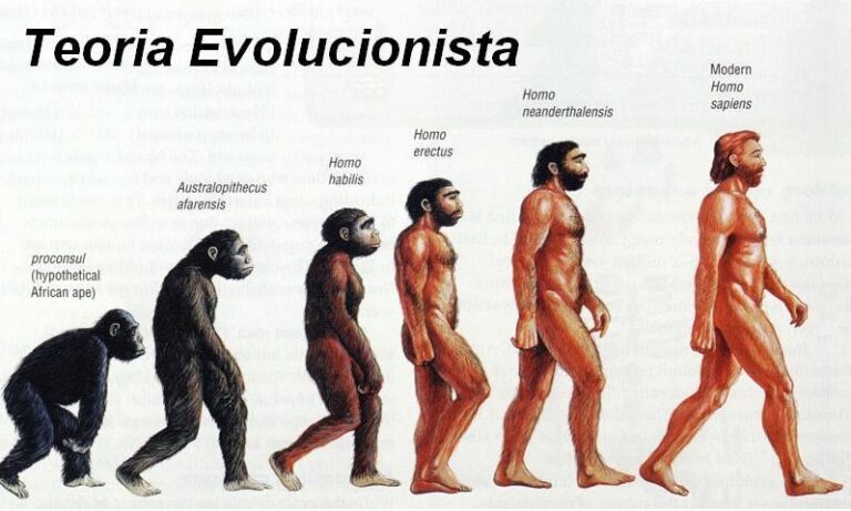 Teoria da Evolução: o que é, surgimento, processo evolutivo e impacto ...