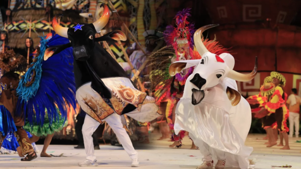 Os bois Caprichoso e Garantido disputam anualmente o o título de campeão do Festival Folclórico de Parintins, no interior do Amazonas. 