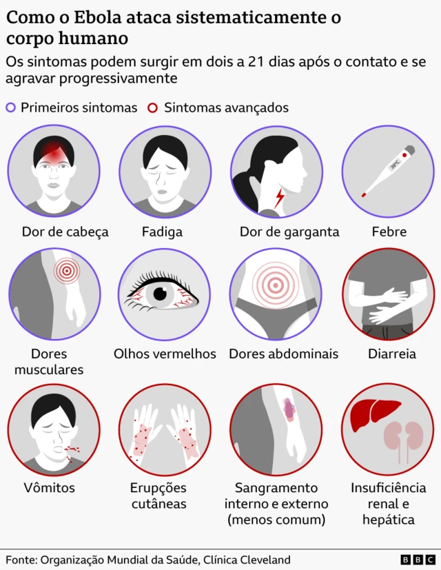 Ilustração produzida pela BBC mostra os sintomas do Ebola.