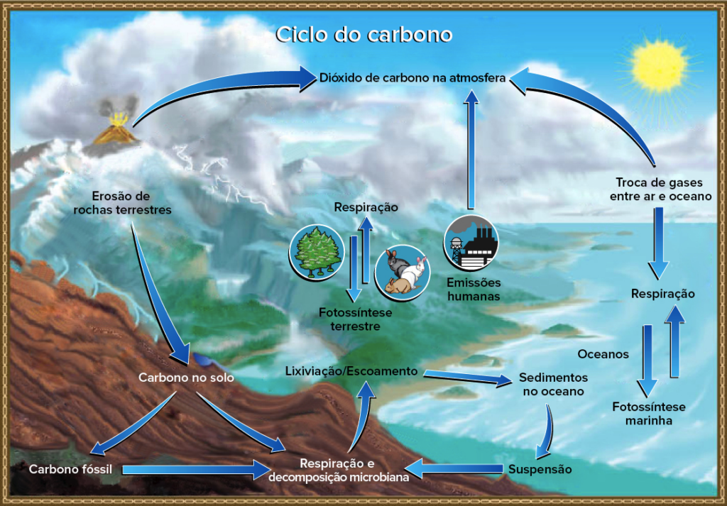 Esquema ilustrativo do ciclo do carbono mostrando a fotossíntese, respiração e queima de combustíveis fósseis.
